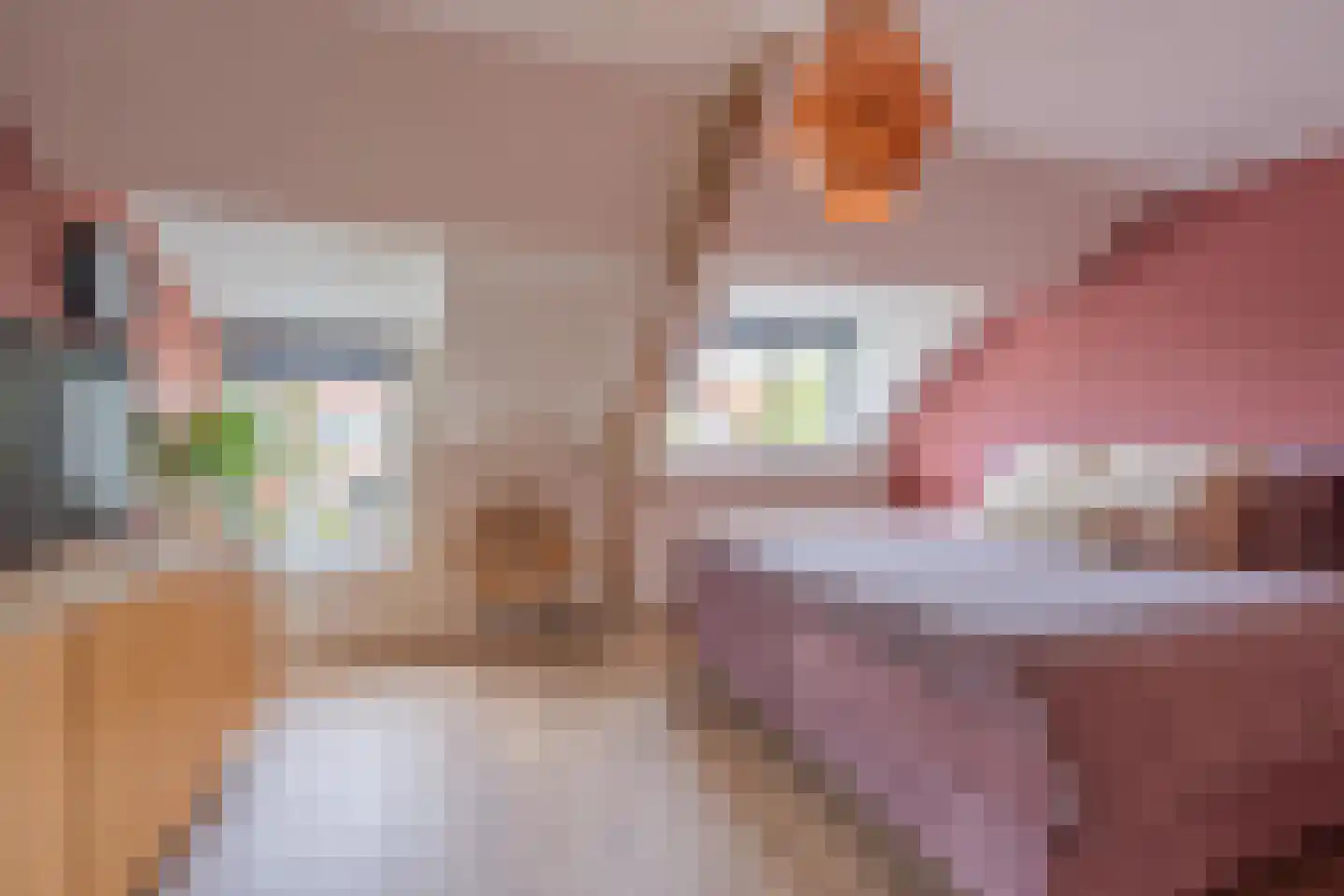 Kijkuit 47 Tiel thumbnail 40