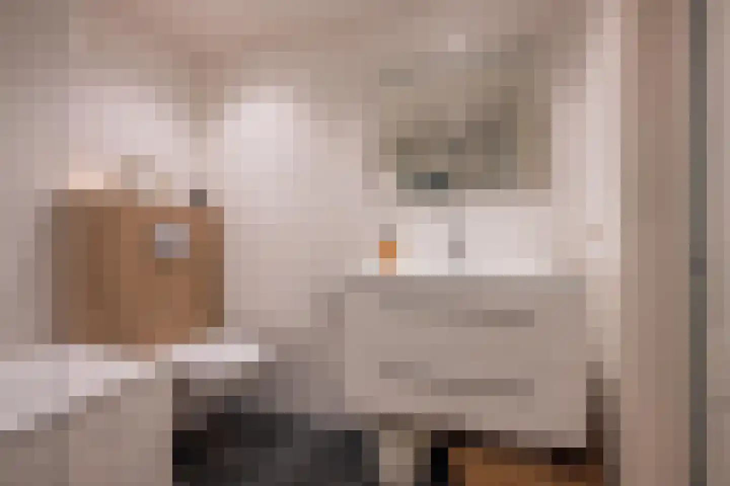 Kijkuit 47 Tiel thumbnail 47