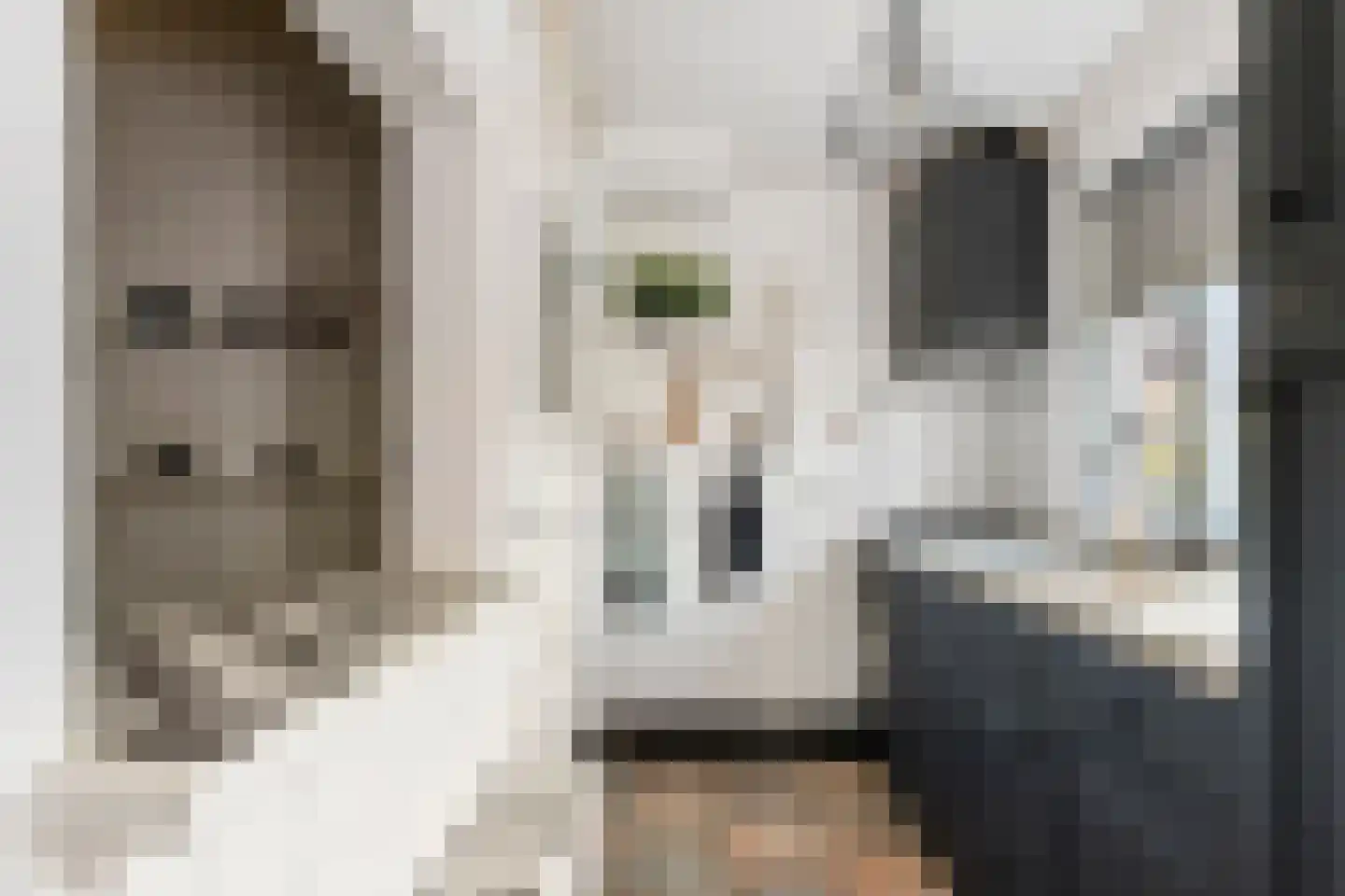 Kijkuit 5 Tiel thumbnail 14