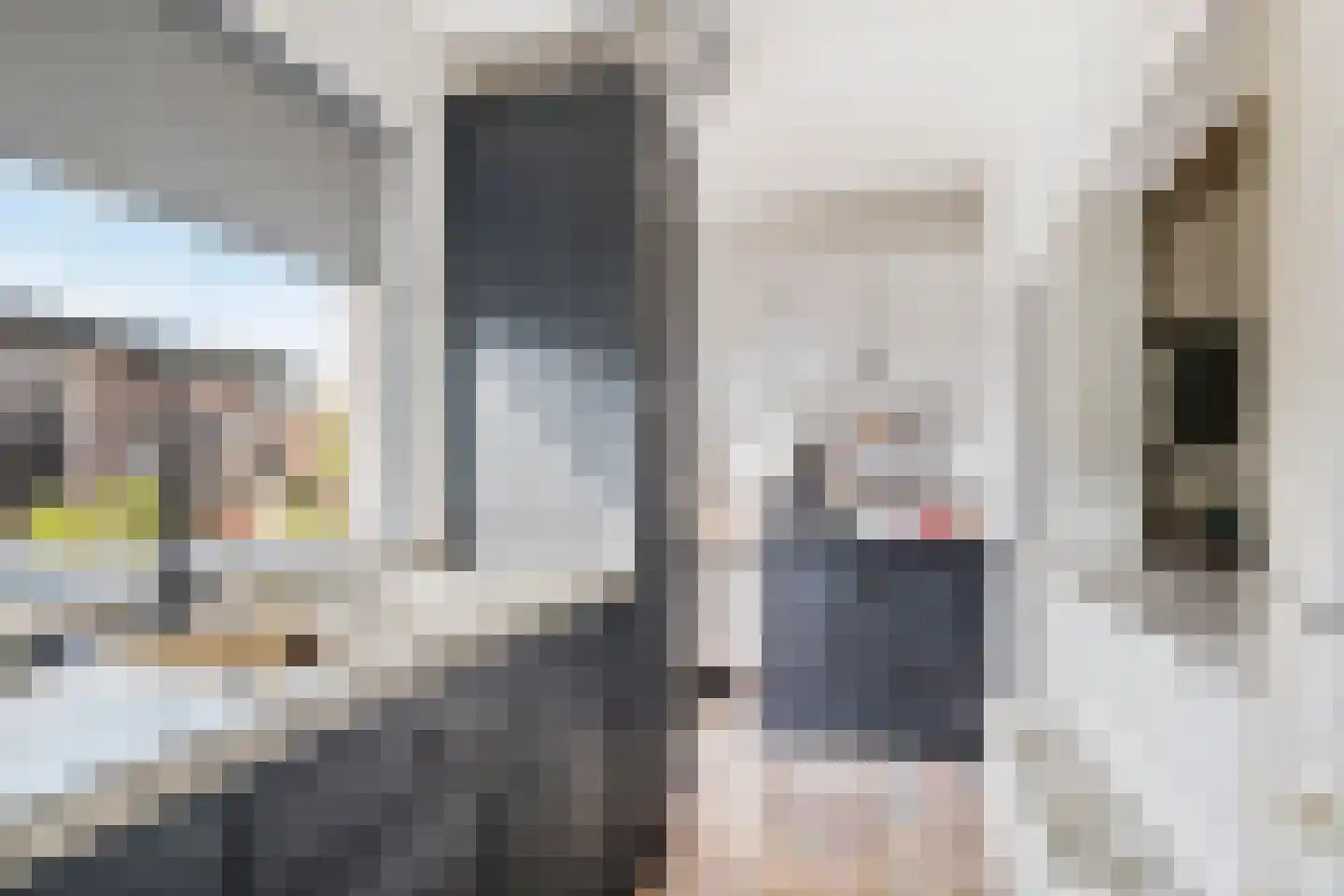 Kijkuit 5 Tiel thumbnail 16