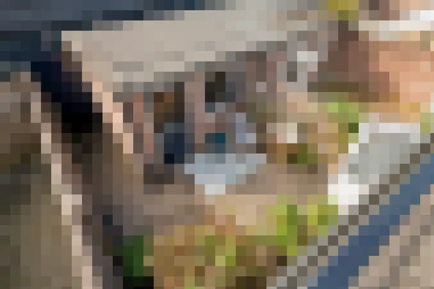 Kijkuit 5 Tiel thumbnail 37