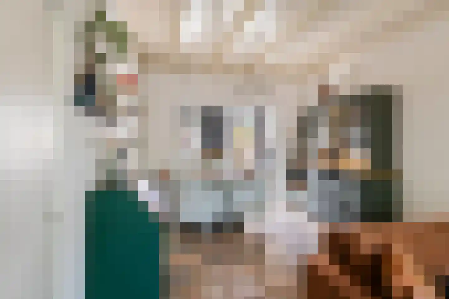 Kijkuit 5 Tiel thumbnail 6
