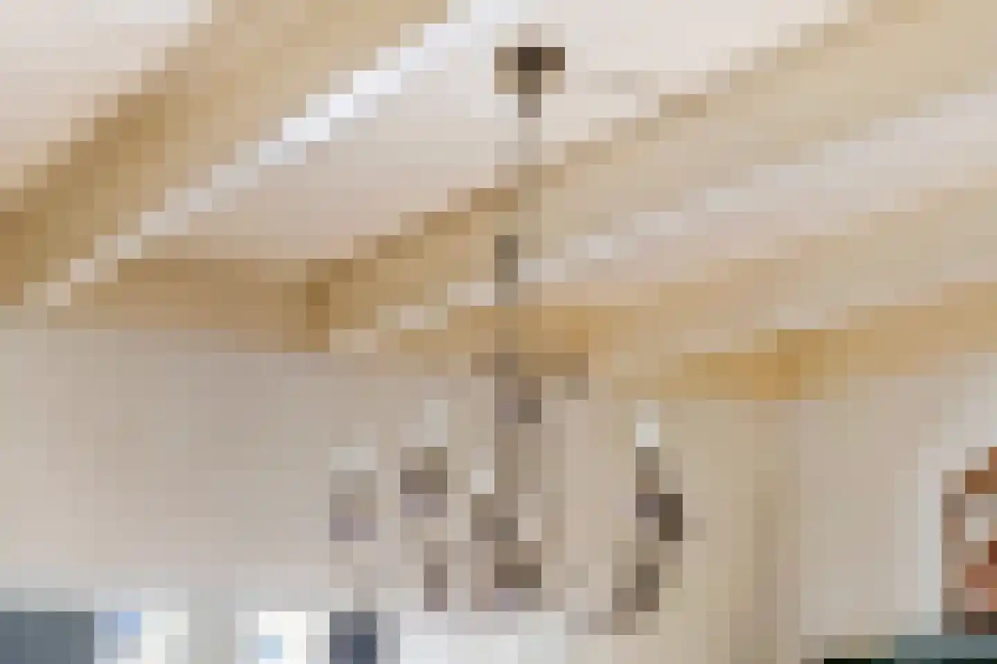 Kijkuit 5 Tiel thumbnail 7