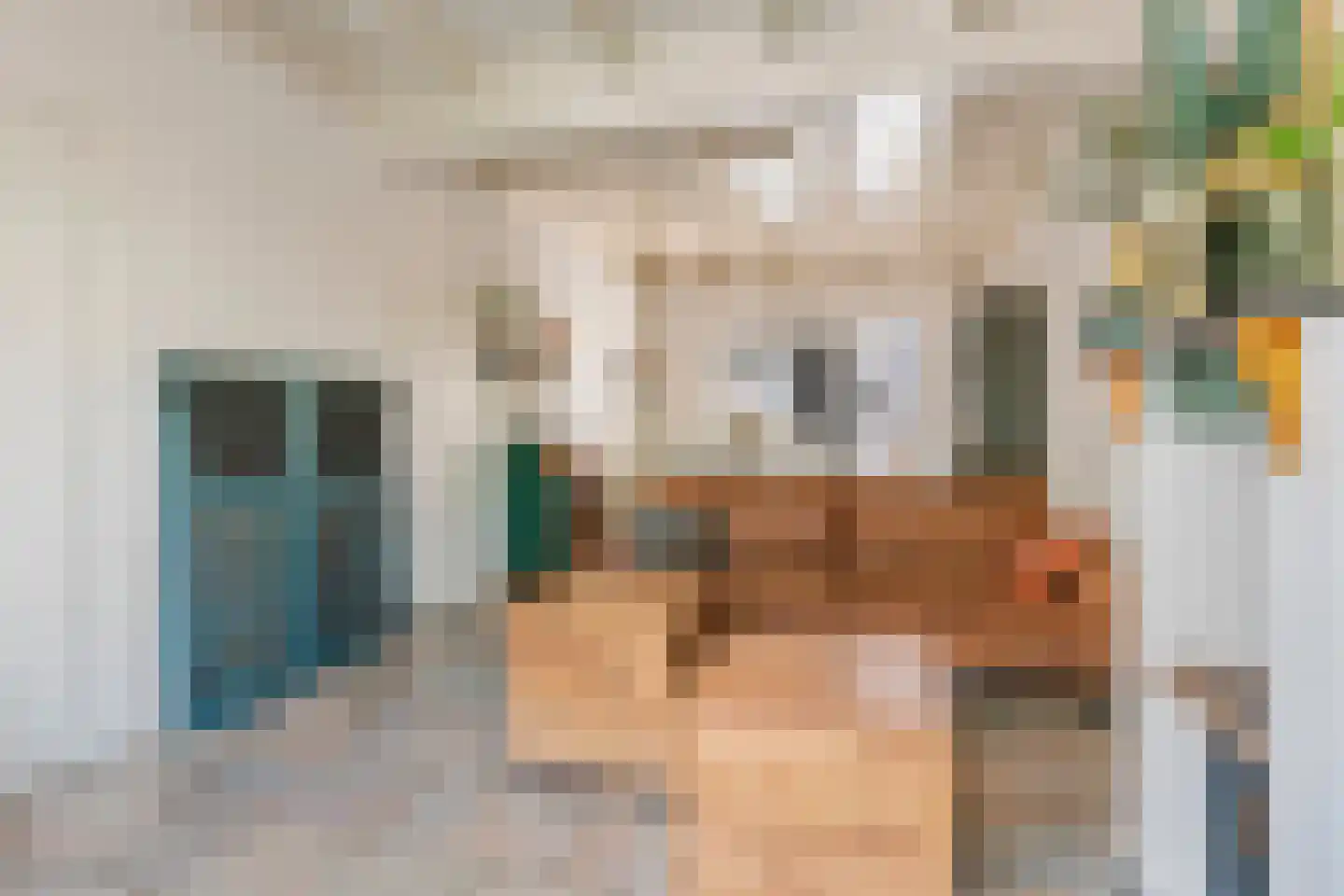Kijkuit 5 Tiel thumbnail 9