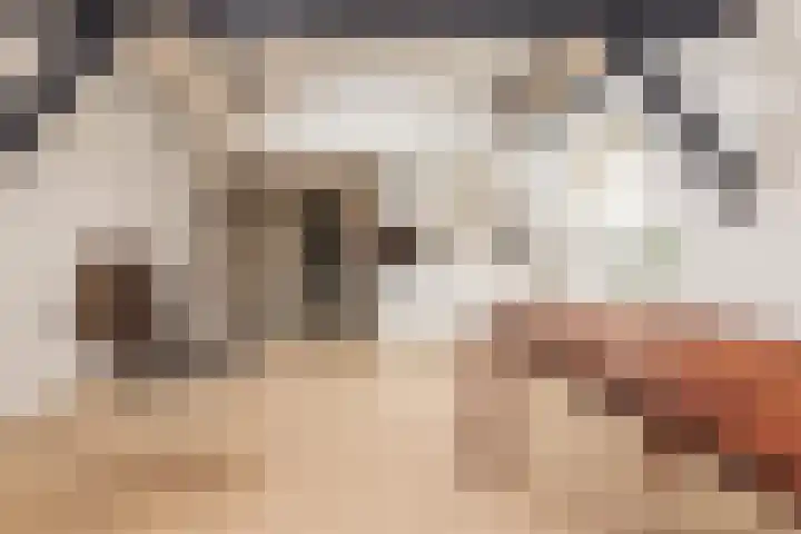 Kijkuit 52 Tiel thumbnail 11