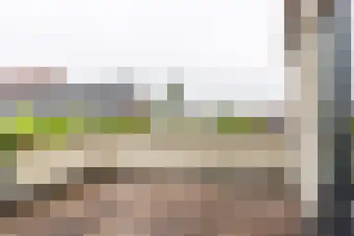 Kijkuit 52 Tiel thumbnail 13