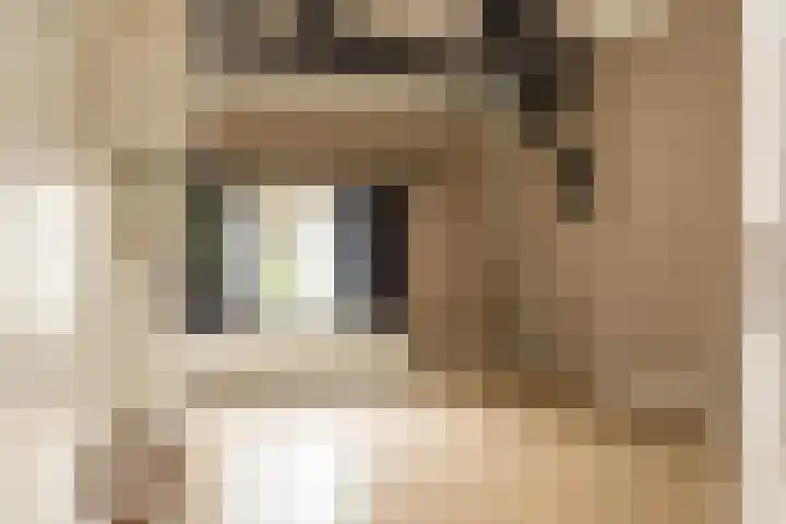 Kijkuit 52 Tiel thumbnail 18