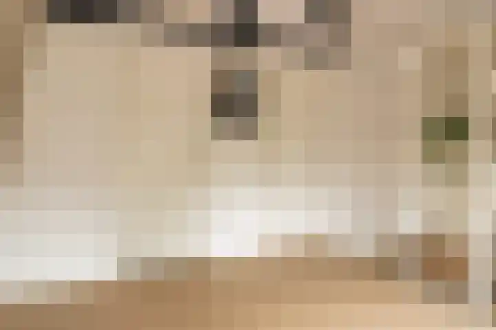 Kijkuit 52 Tiel thumbnail 19