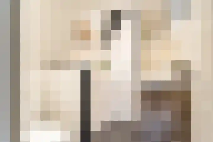 Kijkuit 52 Tiel thumbnail 20