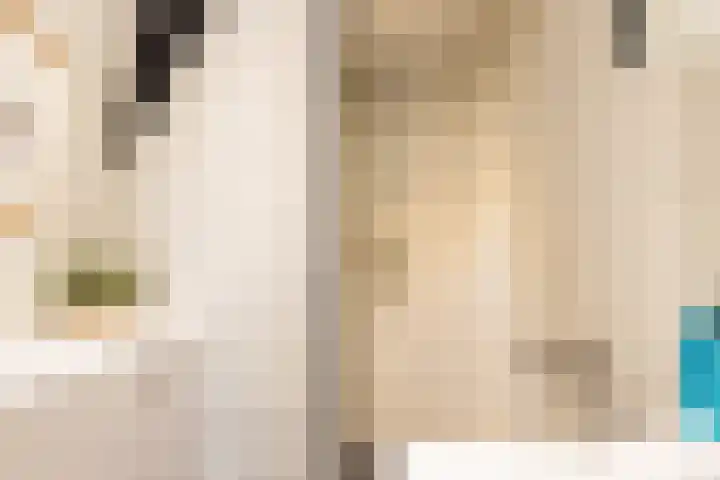 Kijkuit 52 Tiel thumbnail 21
