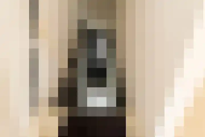 Kijkuit 52 Tiel thumbnail 23