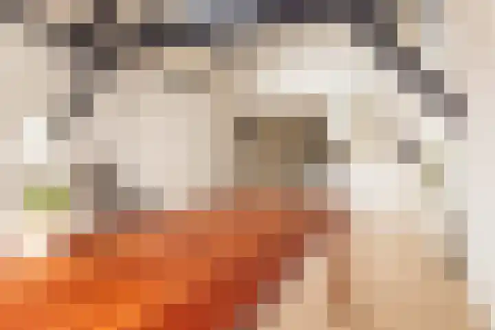 Kijkuit 52 Tiel thumbnail 32