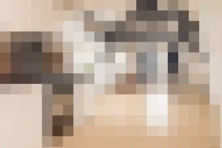 Kijkuit 52 Tiel thumbnail 33
