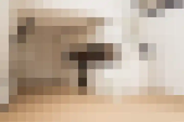 Kijkuit 52 Tiel thumbnail 34