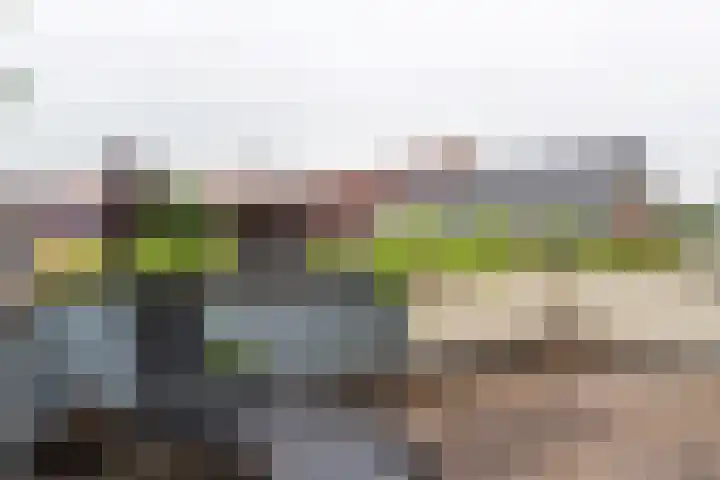 Kijkuit 52 Tiel thumbnail 37
