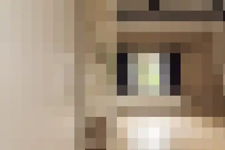 Kijkuit 52 Tiel thumbnail 38