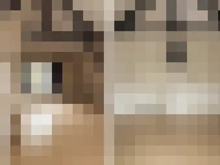 Kijkuit 52 Tiel thumbnail 40