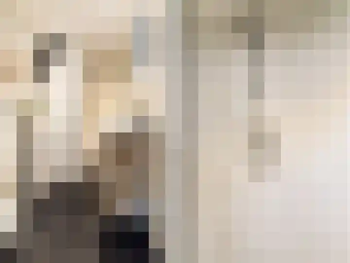 Kijkuit 52 Tiel thumbnail 41