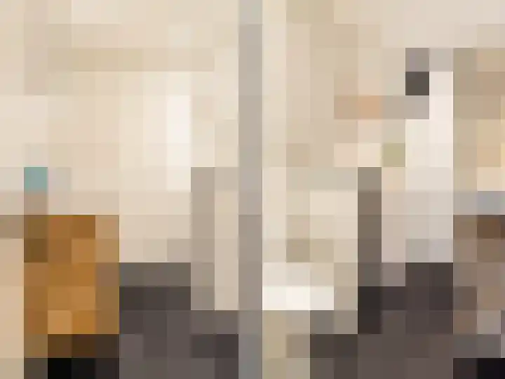 Kijkuit 52 Tiel thumbnail 42