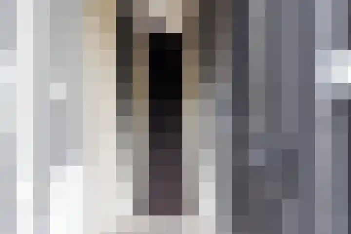 Kijkuit 52 Tiel thumbnail 8