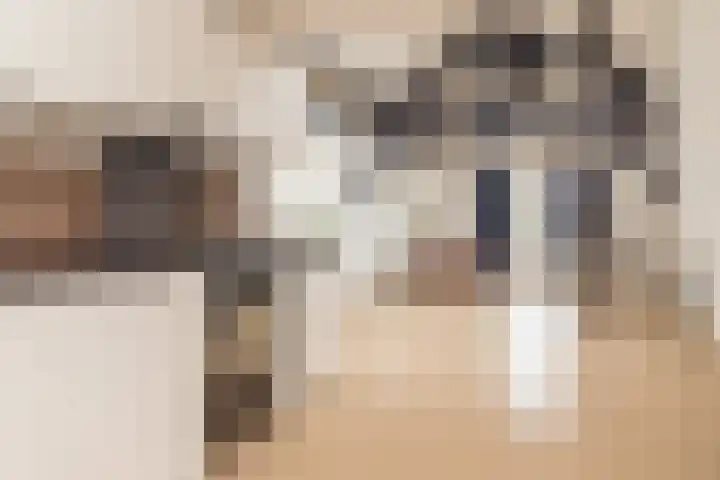 Kijkuit 52 Tiel thumbnail 9