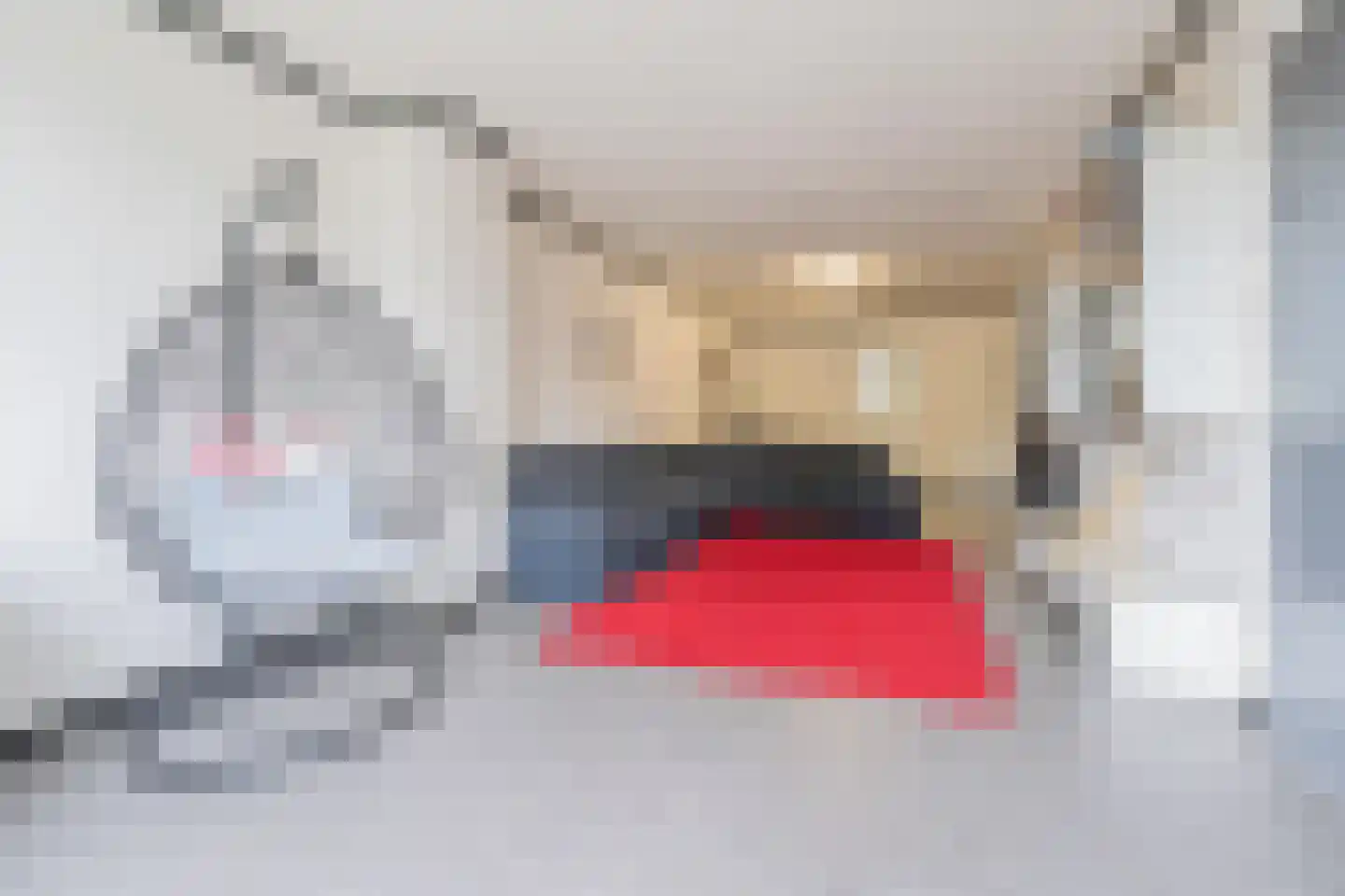 Kijkuit 55 Tiel thumbnail 10