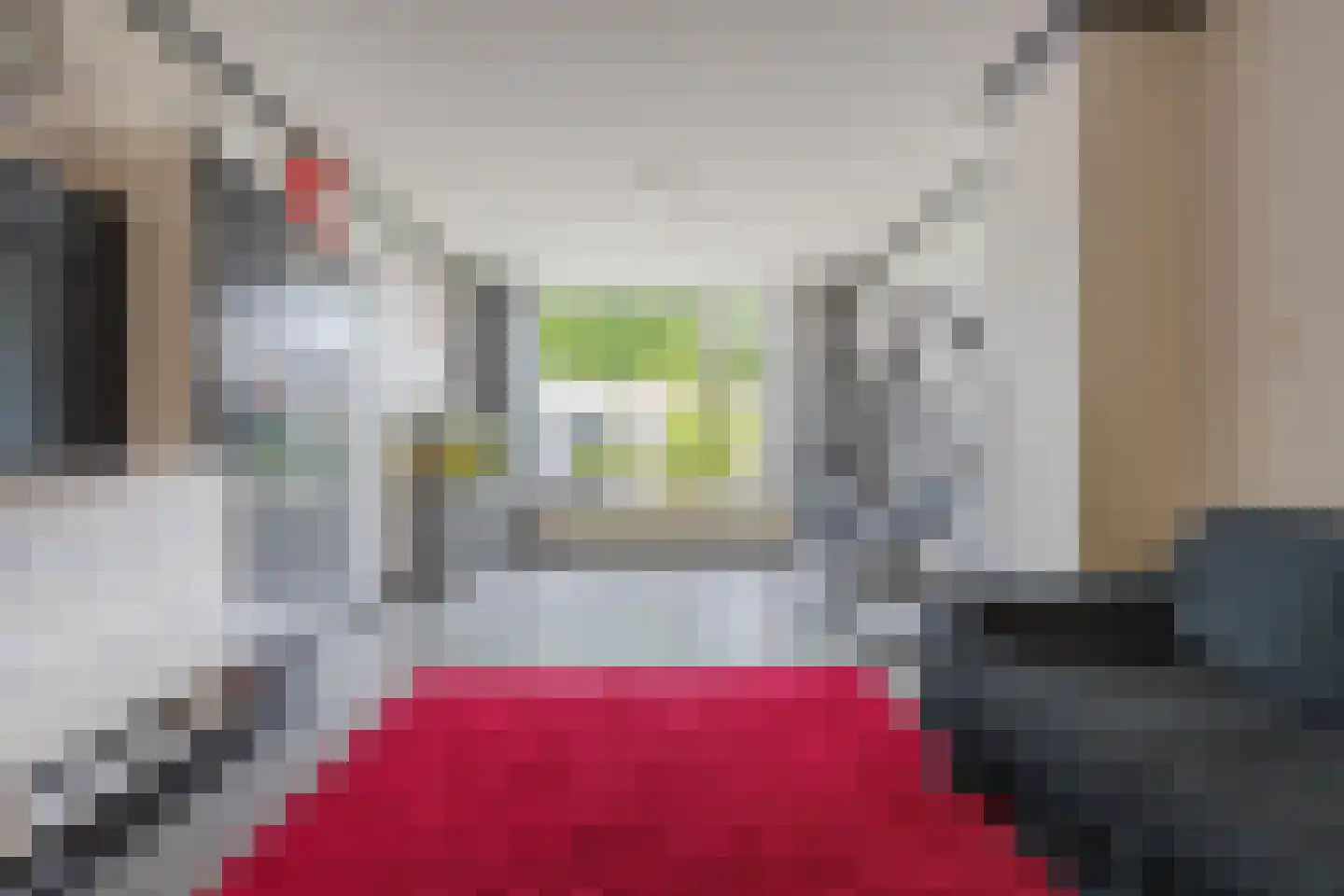 Kijkuit 55 Tiel thumbnail 11