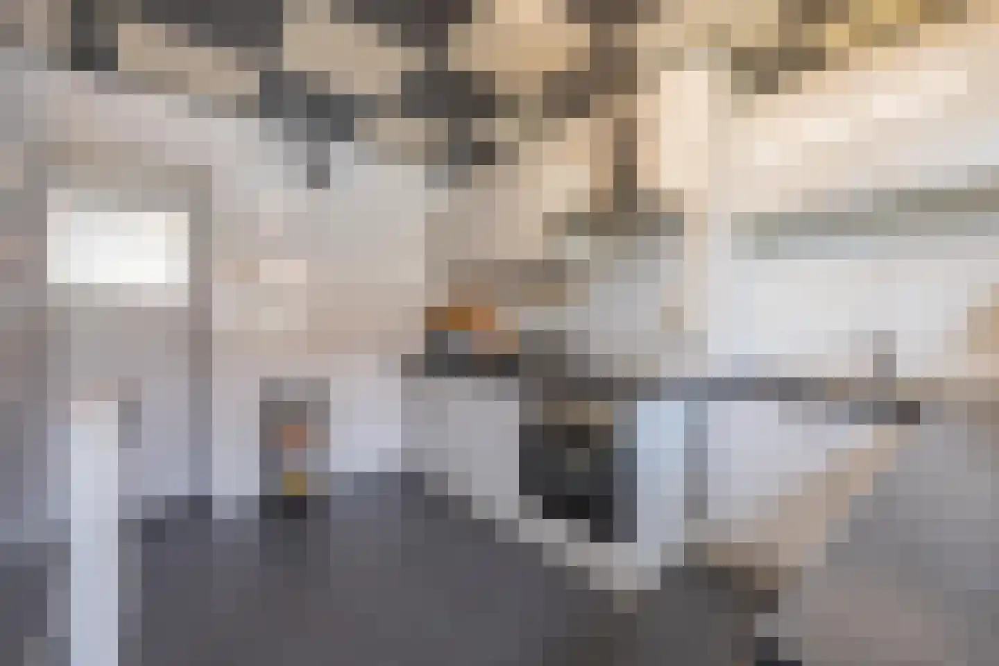 Kijkuit 55 Tiel thumbnail 17