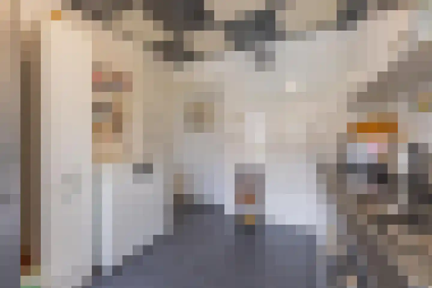 Kijkuit 55 Tiel thumbnail 18