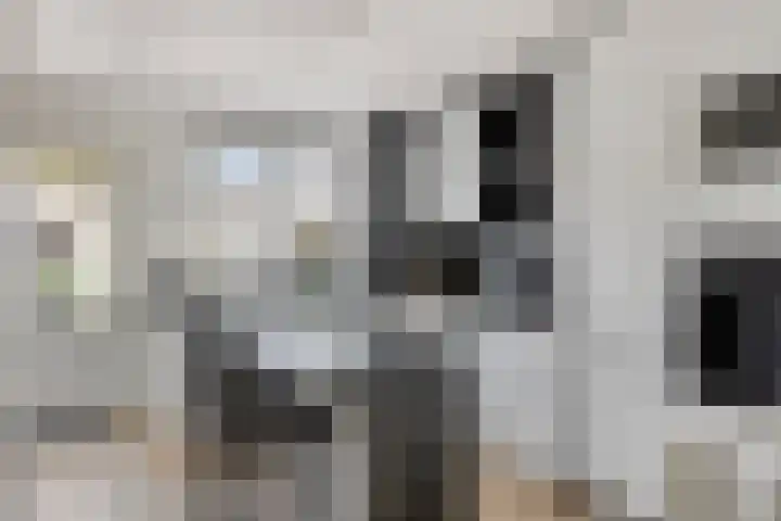Kijkuit 6 Tiel thumbnail 11