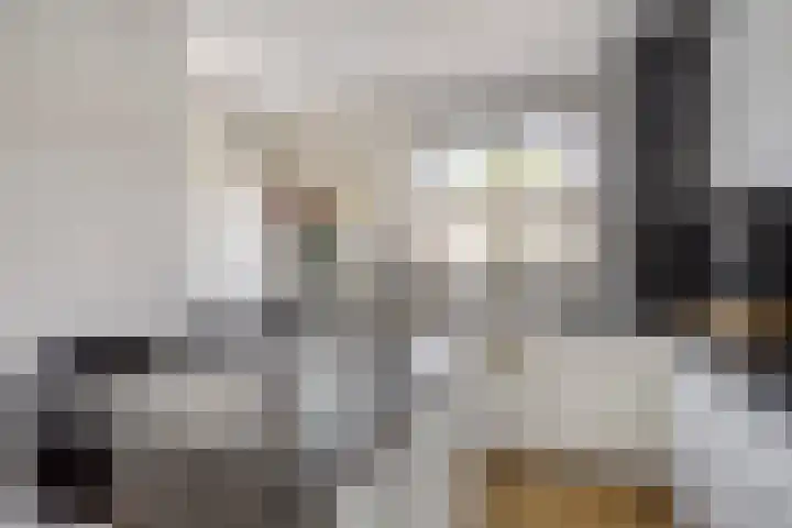 Kijkuit 6 Tiel thumbnail 12