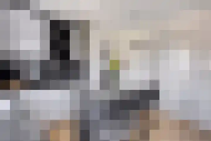 Kijkuit 6 Tiel thumbnail 13