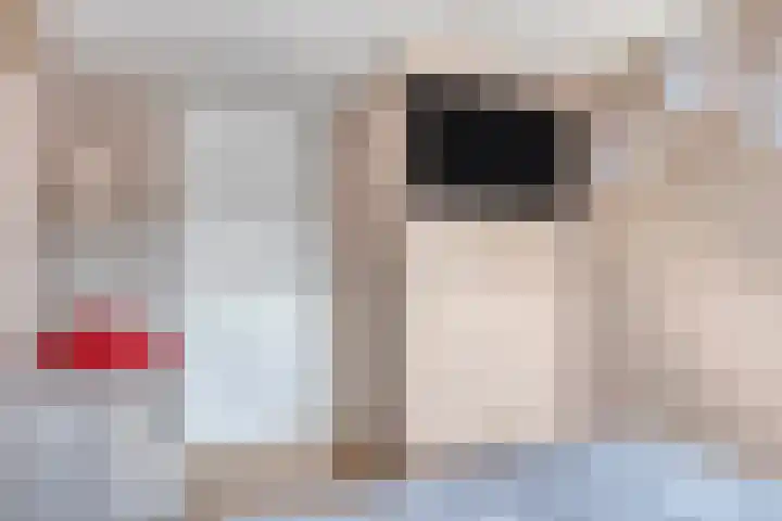Kijkuit 6 Tiel thumbnail 18