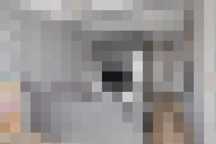 Kijkuit 6 Tiel thumbnail 5