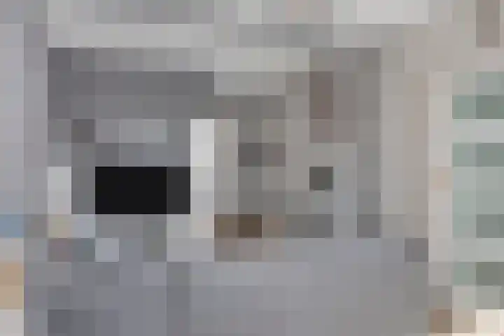 Kijkuit 6 Tiel thumbnail 6