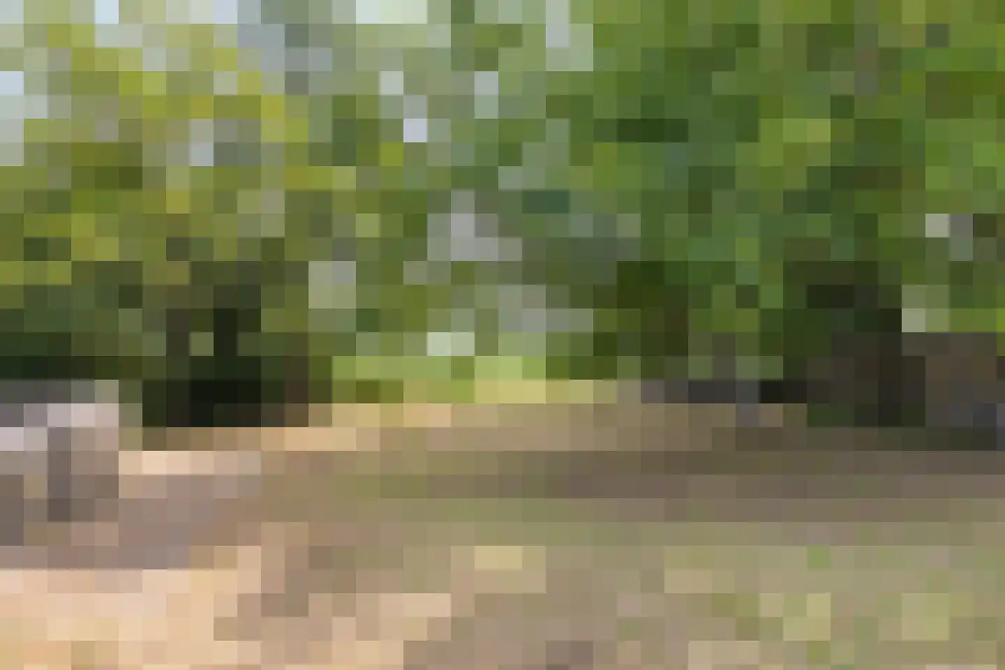 Kijkuit 7 Axel thumbnail 32