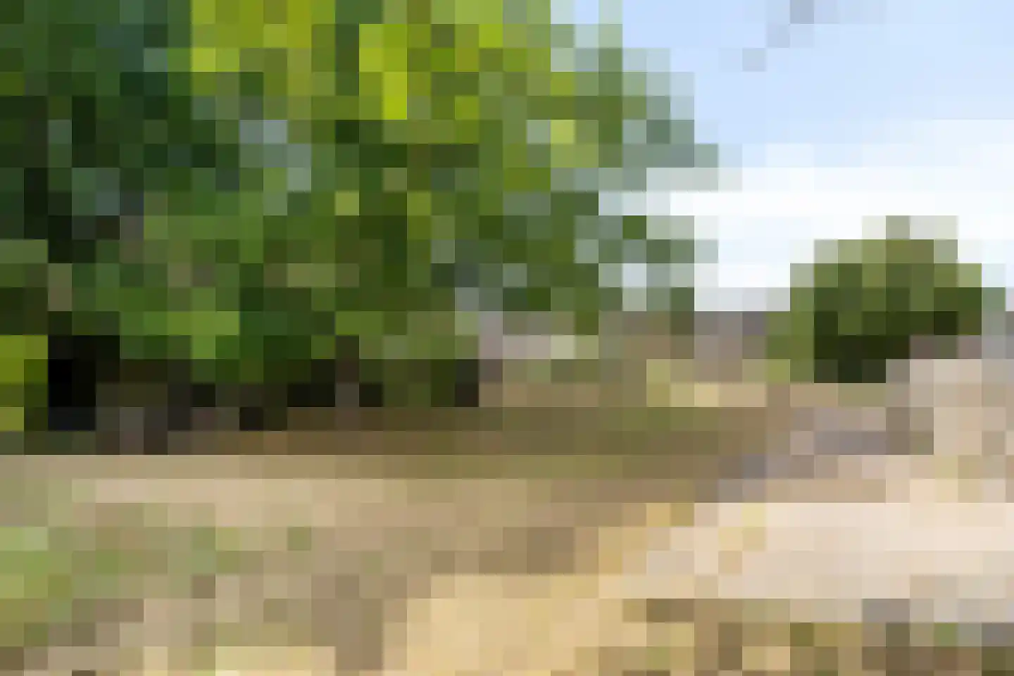 Kijkuit 7 Axel thumbnail 33