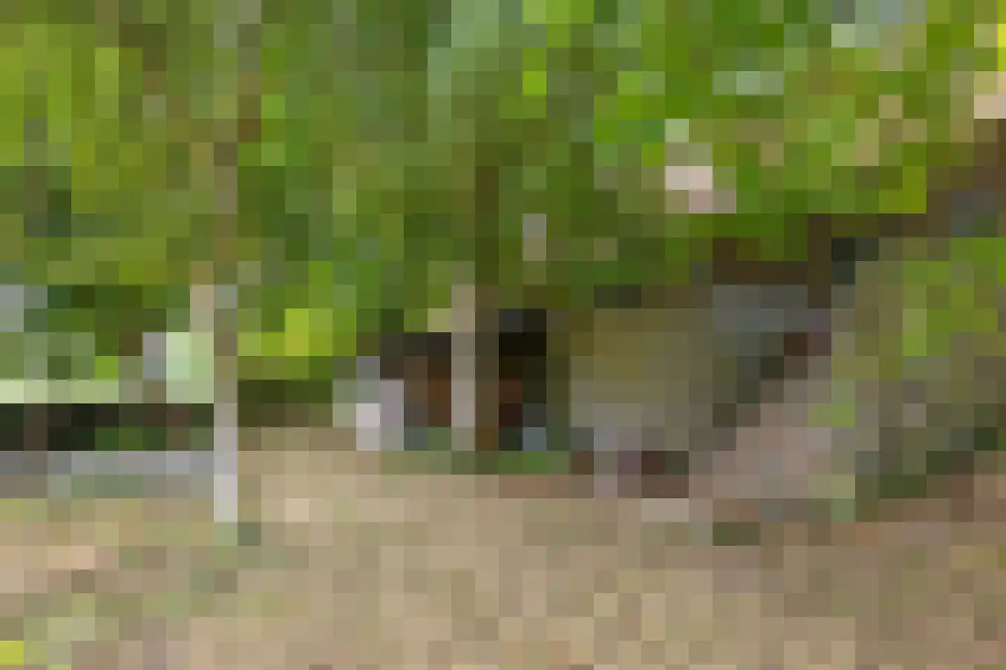 Kijkuit 7 Axel thumbnail 35