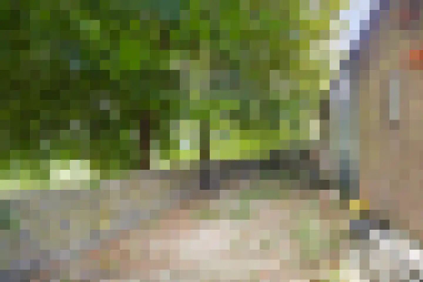 Kijkuit 7 Axel thumbnail 36