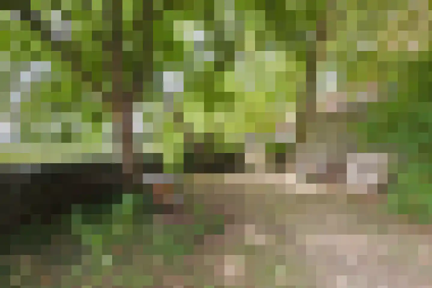 Kijkuit 7 Axel thumbnail 37