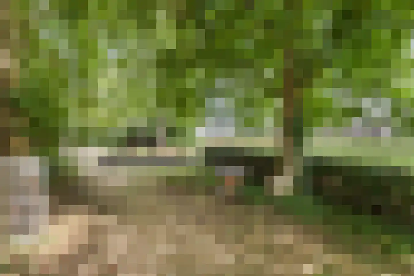 Kijkuit 7 Axel thumbnail 38