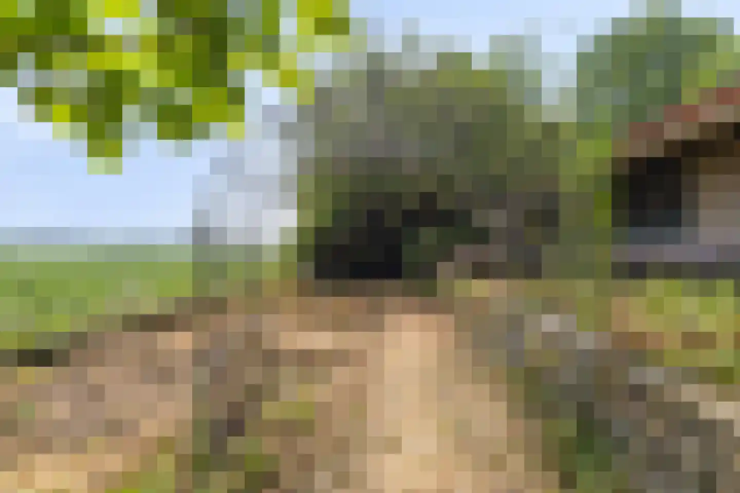 Kijkuit 7 Axel thumbnail 39
