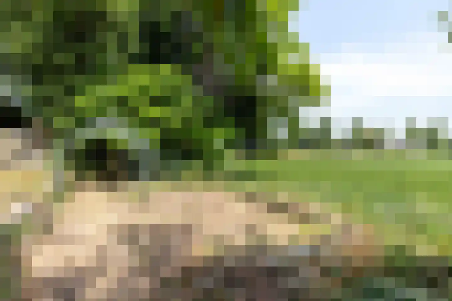 Kijkuit 7 Axel thumbnail 40