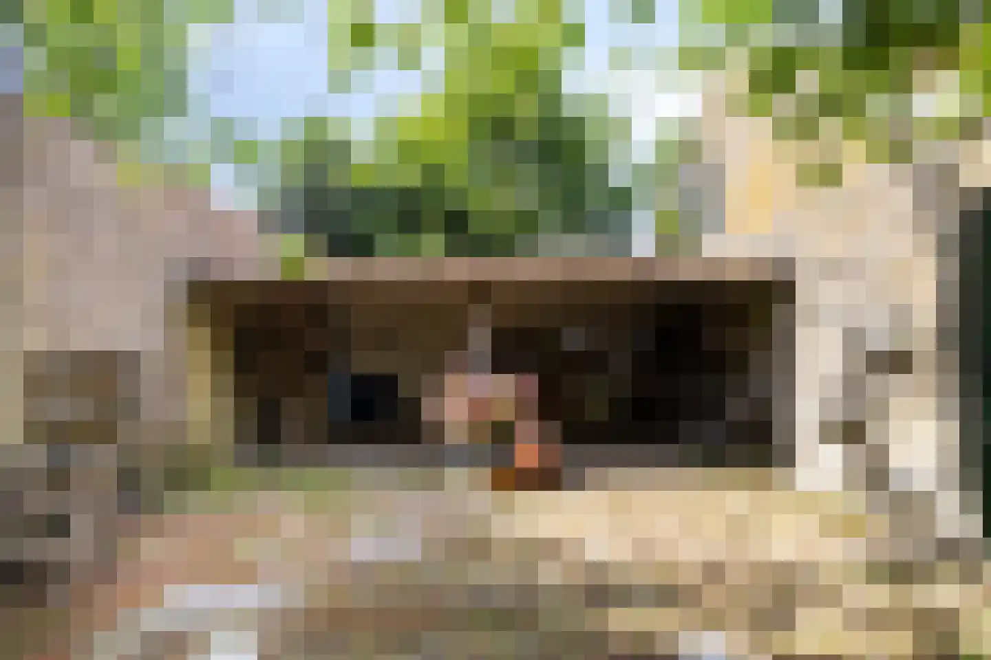 Kijkuit 7 Axel thumbnail 41