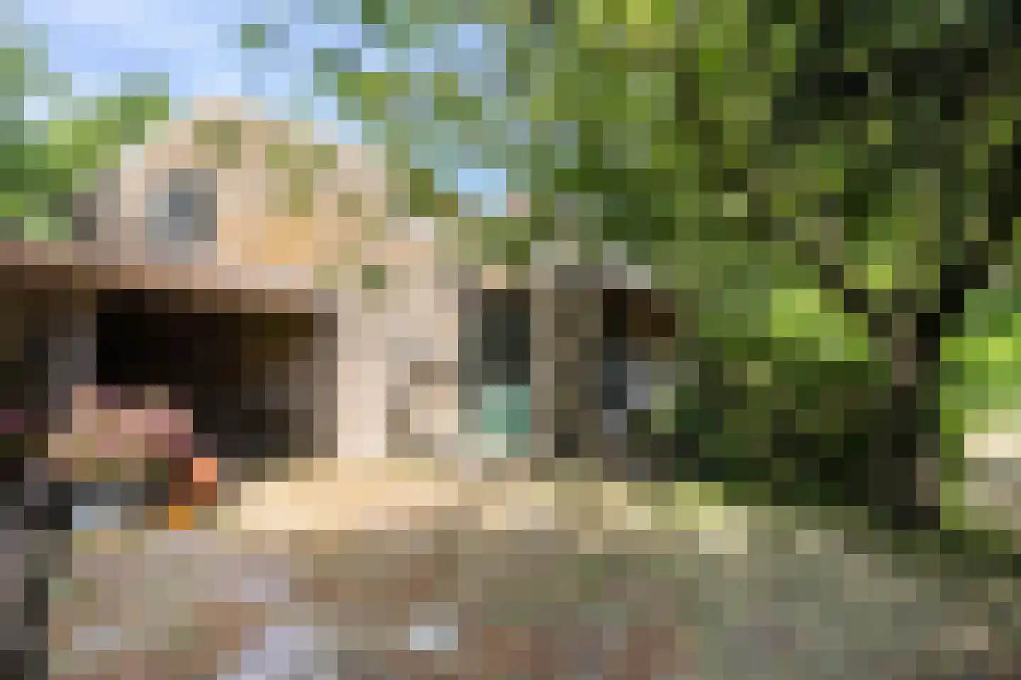 Kijkuit 7 Axel thumbnail 43