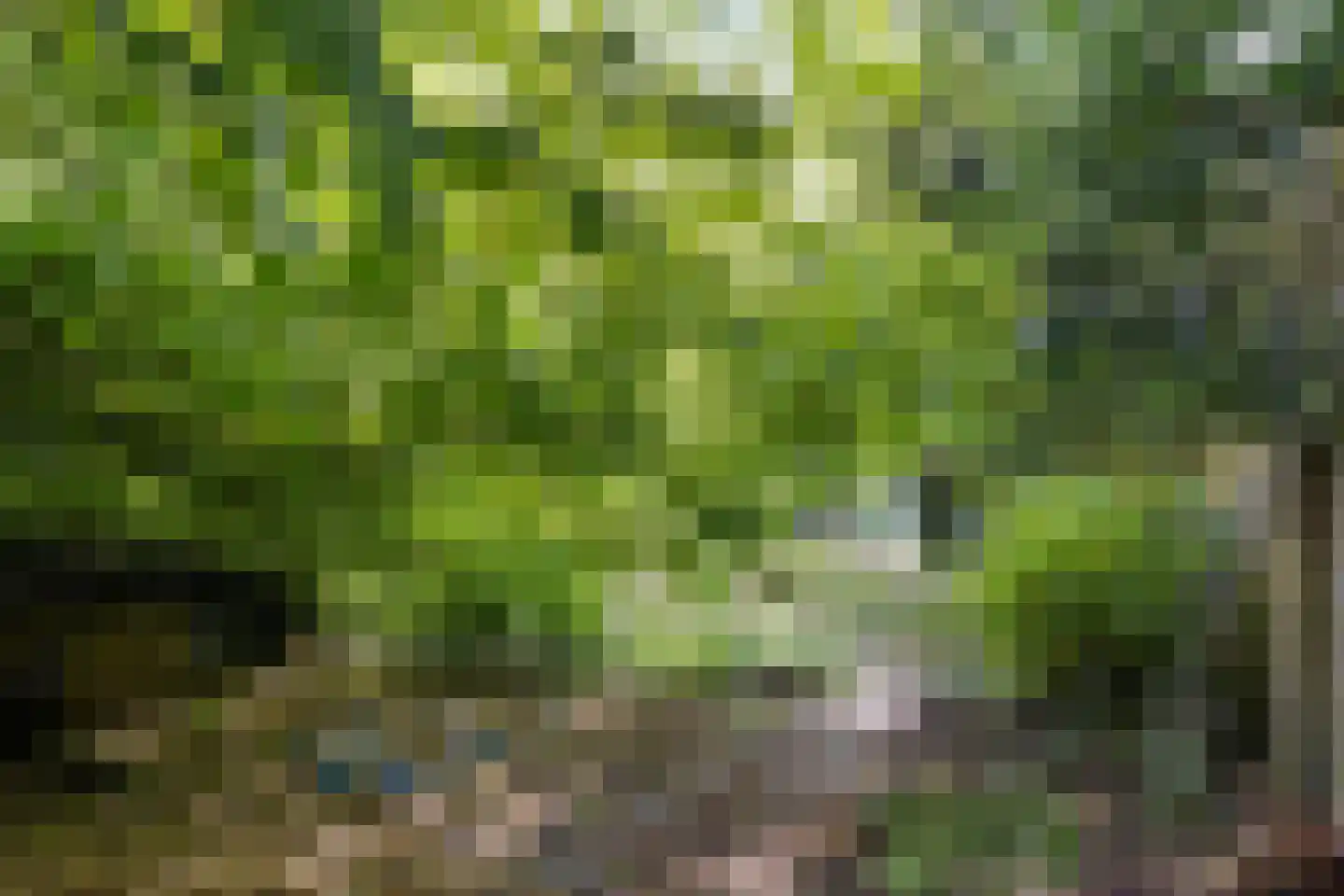 Kijkuit 7 Axel thumbnail 47