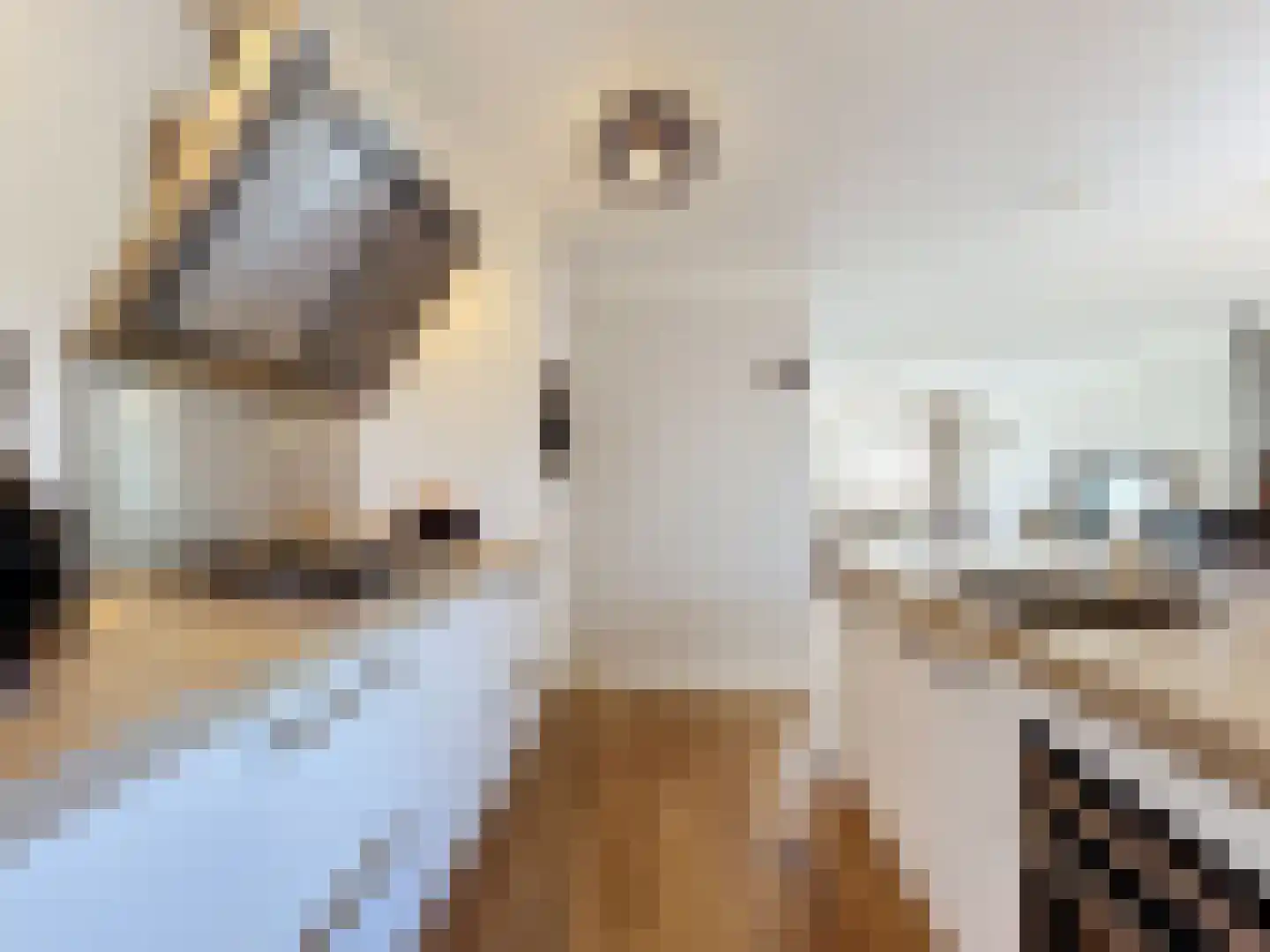 Kijkuit 7 Breskens thumbnail 11