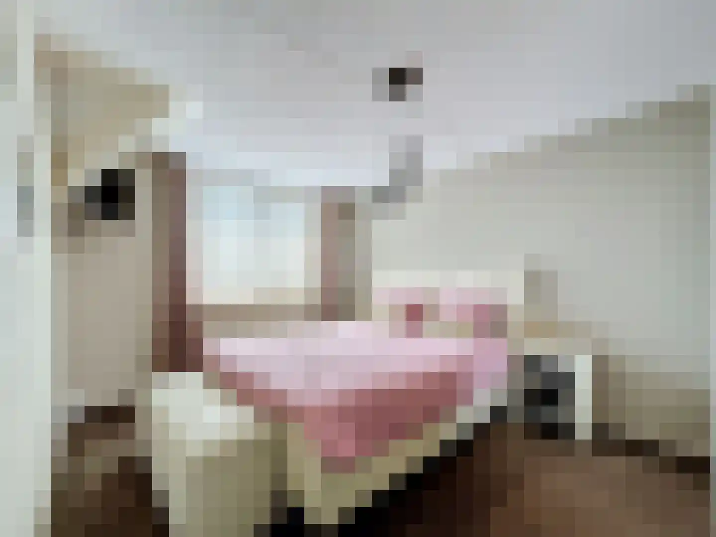 Kijkuit 7 Breskens thumbnail 13