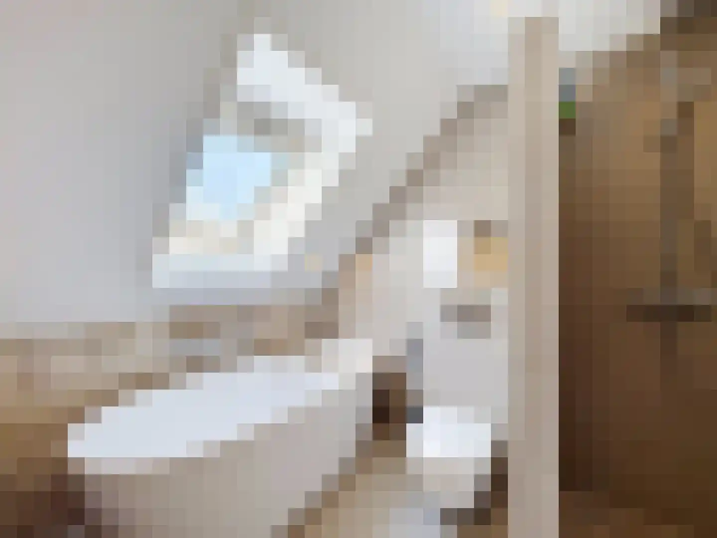 Kijkuit 7 Breskens thumbnail 16
