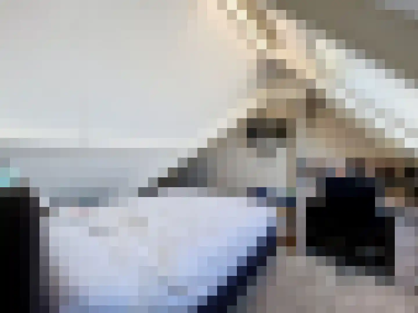 Kijkuit 7 Breskens thumbnail 19